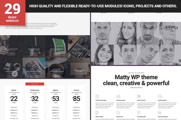 The Matty WordPress theme includes 29 high quality ready-to-use modules, icons, and numerous extras.
