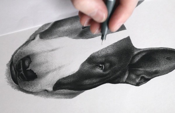 The dog drawing was created with a pen (Staedtler Pigment Liners Marker Pen).