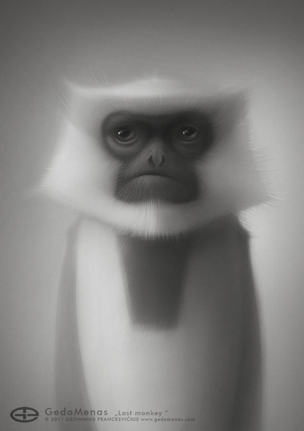 Last Monkey, a digital character illustration drawn by GedoMenas.
