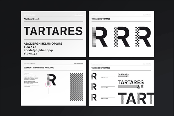 These are the branding guidelines with corporate typeface and graphic elements.