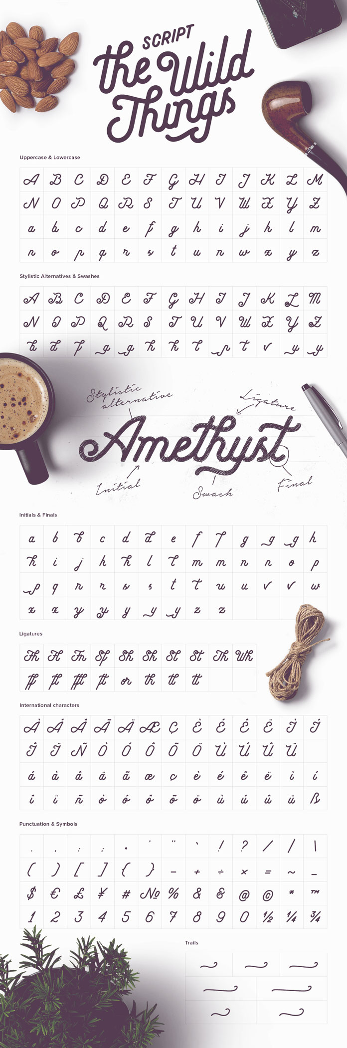 An overview of the Script typeface with all uppercases and lowercases, stylistic alternatives and swashes, initials and finals, ligatures, international characters, punctuation and symbols, trails.