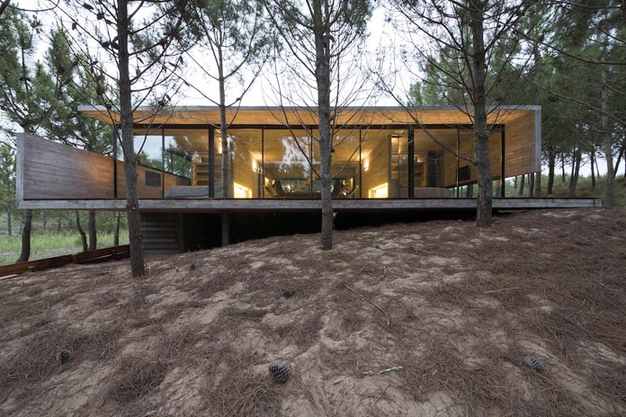Modern concrete house in a pine forest.