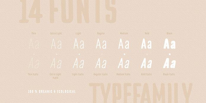 14 fonts ranging from Thin to Black plus matching Italics.
