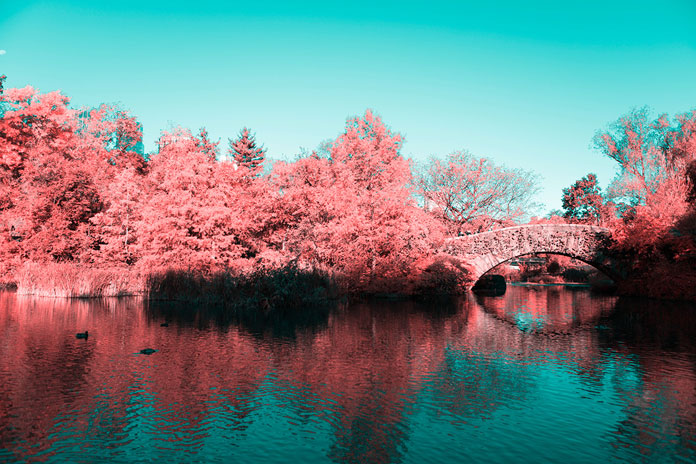 The graphic designer and photographer has taken numerous infrared/aerochrome photos of the famous Central Park.