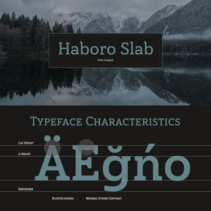 Haboro Slab, a family from foundry Insigne with 54 fonts in 3 widths and 7 weights.