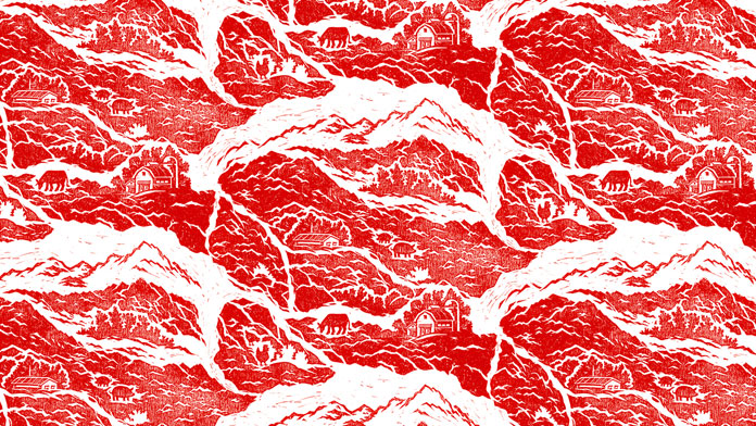 The grain of the meat transformed into a landscape illustration.