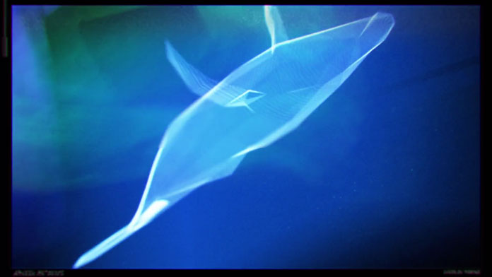 Holographic animation of a whale swimming.