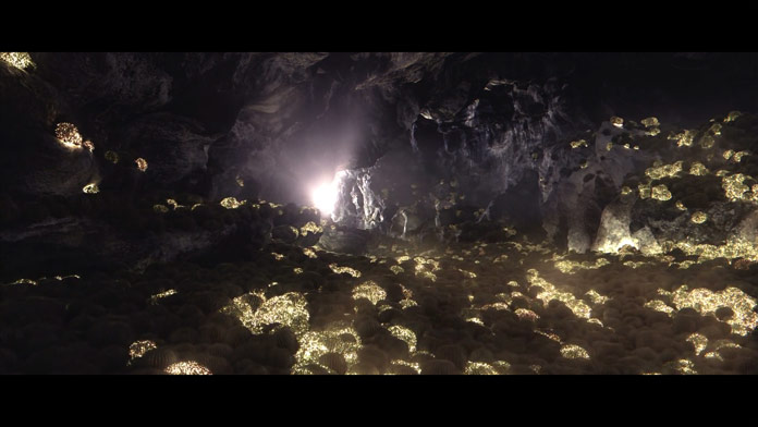 Illuminating cacti in a cave.