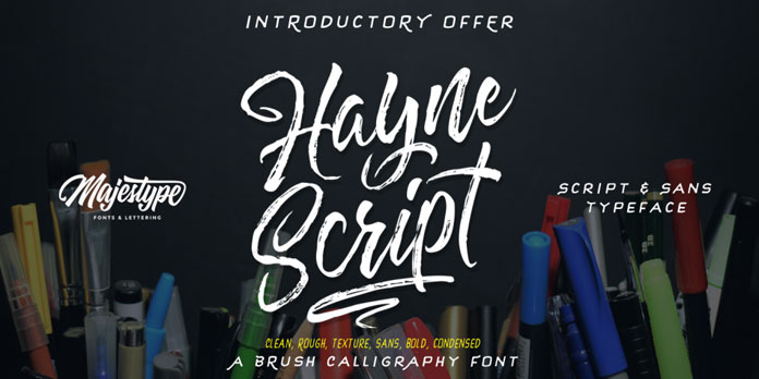 Hayne, a brush script and display sans font family designed by Dexsar Harry Anugrah.