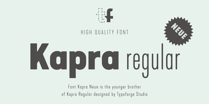 Kapra Neue, The younger sister of the Kapra typeface.