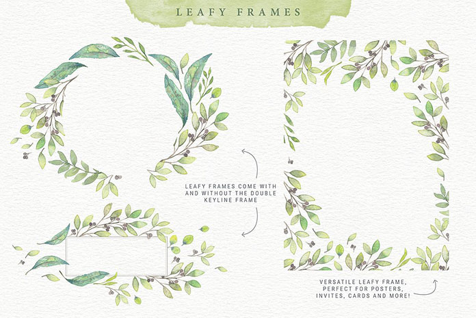 Leafy frames.