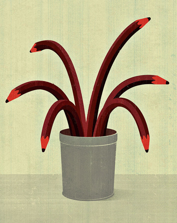 Joey Guidone, a pencil plant.