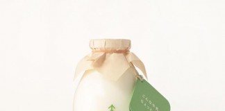 Forest Milk - Packaging Design