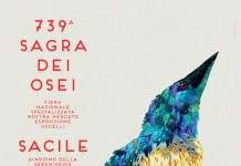 Sagra dei Osei - Poster Illustration and Design