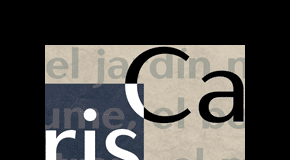 Carisma - Sans Serif Font Family by CastleType