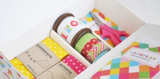 Aeroplay Kites - kite packaging by Lily Li