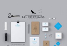 Bluebirds&Co. Brand Identity by Krzysztof Zdunkiewicz