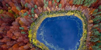 Polish Autumn - Aerial Photography by Kacper Kowalski