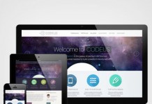 Codeus, a premium Wordpress theme