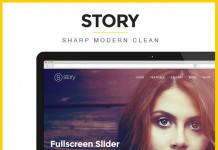 Story - Responsive Multi-Purpose WordPress Theme