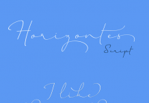Horizontes Script font by Panco Sassano and Alejandro Paul from Sudtipos.