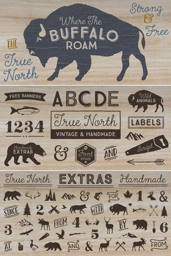 True North - American Vintage inspired typefaces with different styles and countless ornaments and banners.