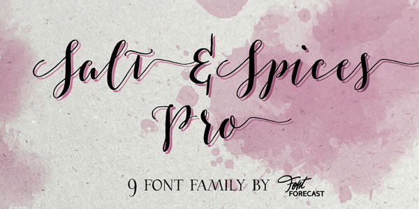 Salt & Spices Pro, a 9 font family from foundry Fontforecast.