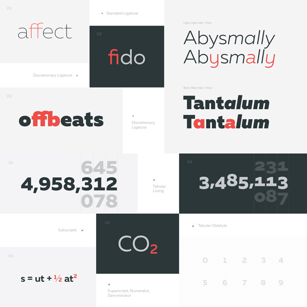 This sans serif font family includes several OpenType features.