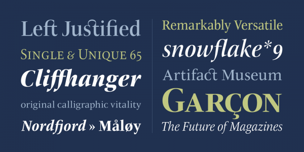 The ITC New Veljovic Pro font family by Jovica Veljovic is an elegant but sturdy serif typeface with lots of typographic features.