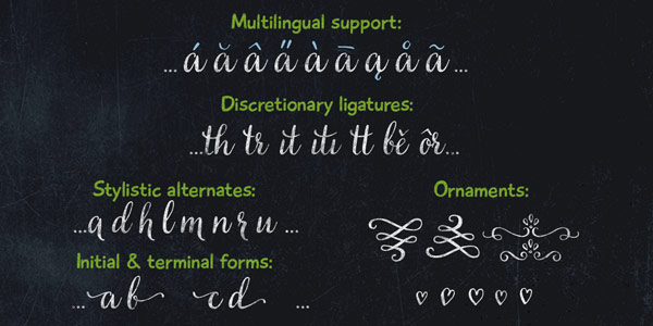Multi language support, discretionary ligatures, stylish alternates, ornaments, initial and terminal forms.
