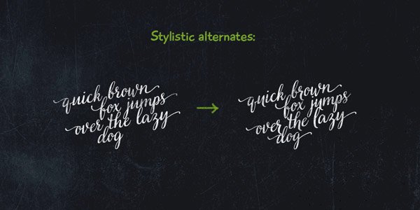 Example of stylistic alternates of the Veryberry Pro font from foundry My Creative Land.