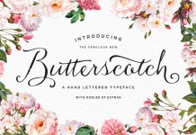 The fabulous new Butterscotch font by Nicky Laatz is a hand lettered typeface with oodles of extras.