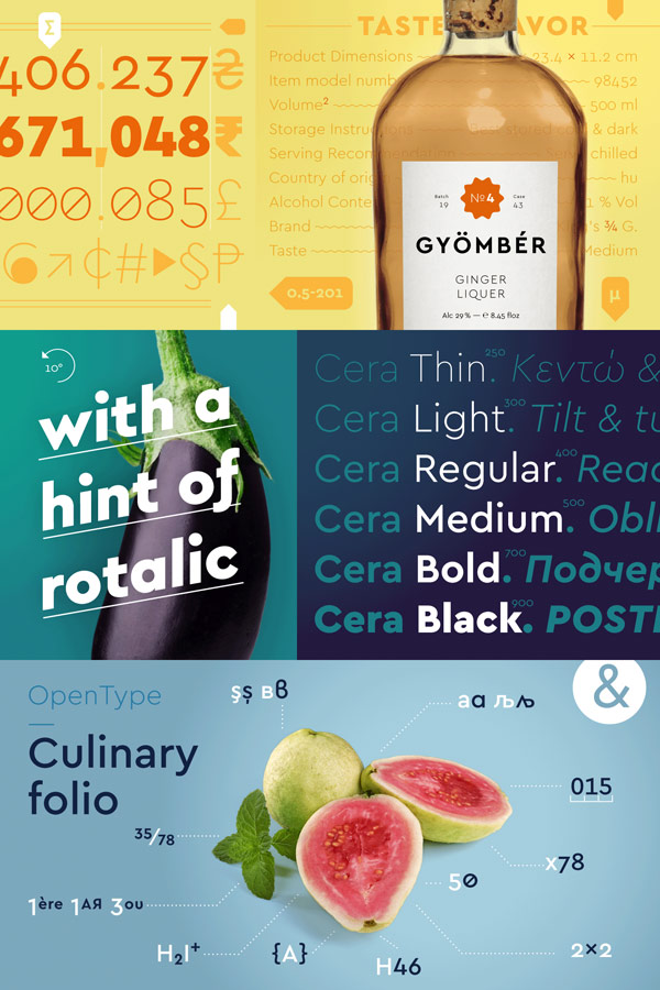 Cera Pro is a geometric sans serif typeface with lots of OpenType features and multiple language support.