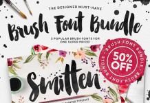 The brush fonts bundle with 3 typefaces plus graphics.