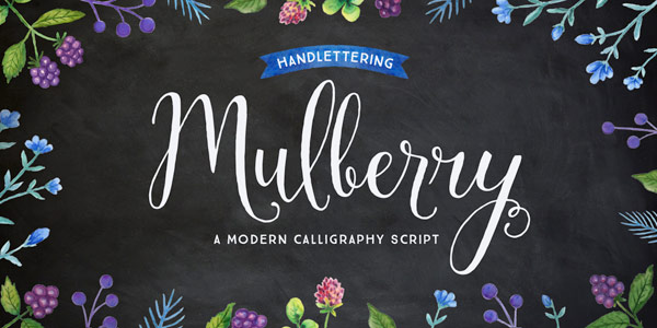 The Mulberry font family is a handwritten calligraphy script.
