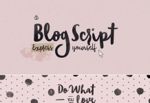 Blog Script, a hand drawn typeface from Sudtipos.