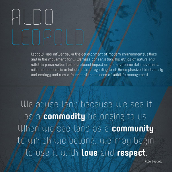 Aldo Pro is a full font family evolution of the free Aldo semi-bold font published on dafont.com in 2007.
