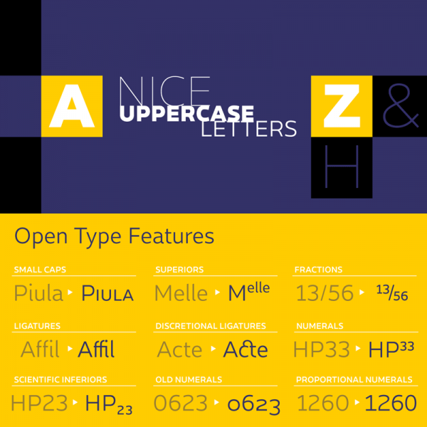 The Dupla font family comes with several OpenType features and lots of typographic options for professional needs.