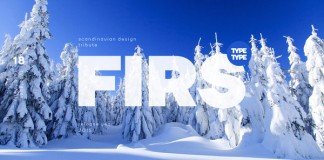 TT Firs, a universal sans-serif font family from foundry TypeType.