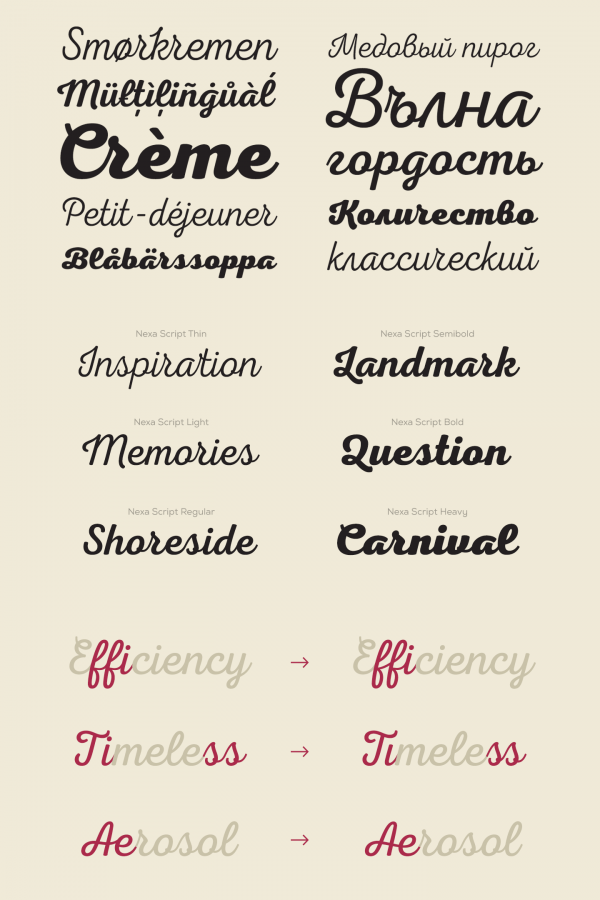 A new script typeface in 6 weights and different OpenType features.