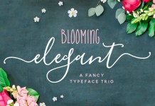 Blooming, an elegant font trio created by Nicky Laatz.