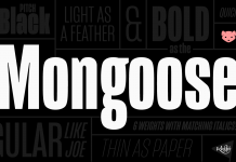 The Mongoose font family is a condensed sans serif that has been designed for posters, striking headlines or logotypes.