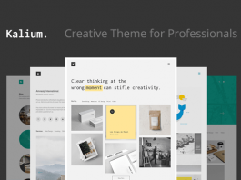 Kalium, a creative WordPress theme for professionals.