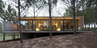 Modern concrete house in a pine forest.