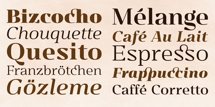 The family comes with a variety of weights and typographic features like ligatures and alternate letters.