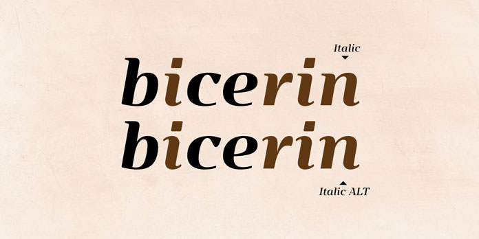 Examples of basic italic letters and alternative italic letters.