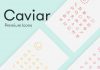 Caviar - Premium mobile and web icons as simple line graphics.