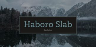 Haboro Slab, a family from foundry Insigne.