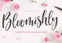Bloomishly brush script typeface by Nicky Laatz.
