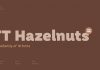 TT Hazelnuts font family from TypeType.